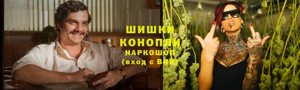 бошки Корсаков