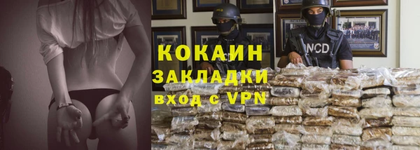 прущие грибы Краснослободск