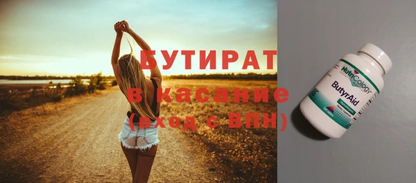 индика Кулебаки