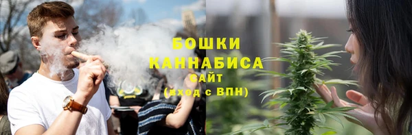 прущие грибы Краснослободск