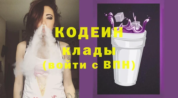 прущие грибы Краснослободск