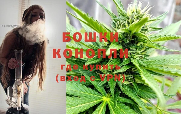 прущие грибы Краснослободск
